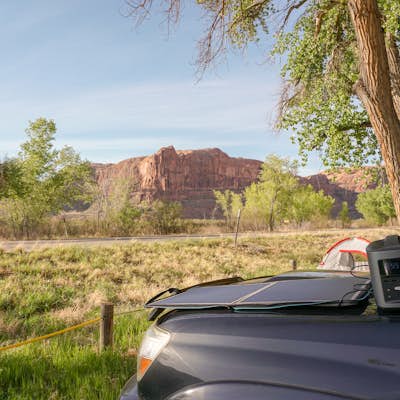Camp at Williams Bottom Campground in Moab