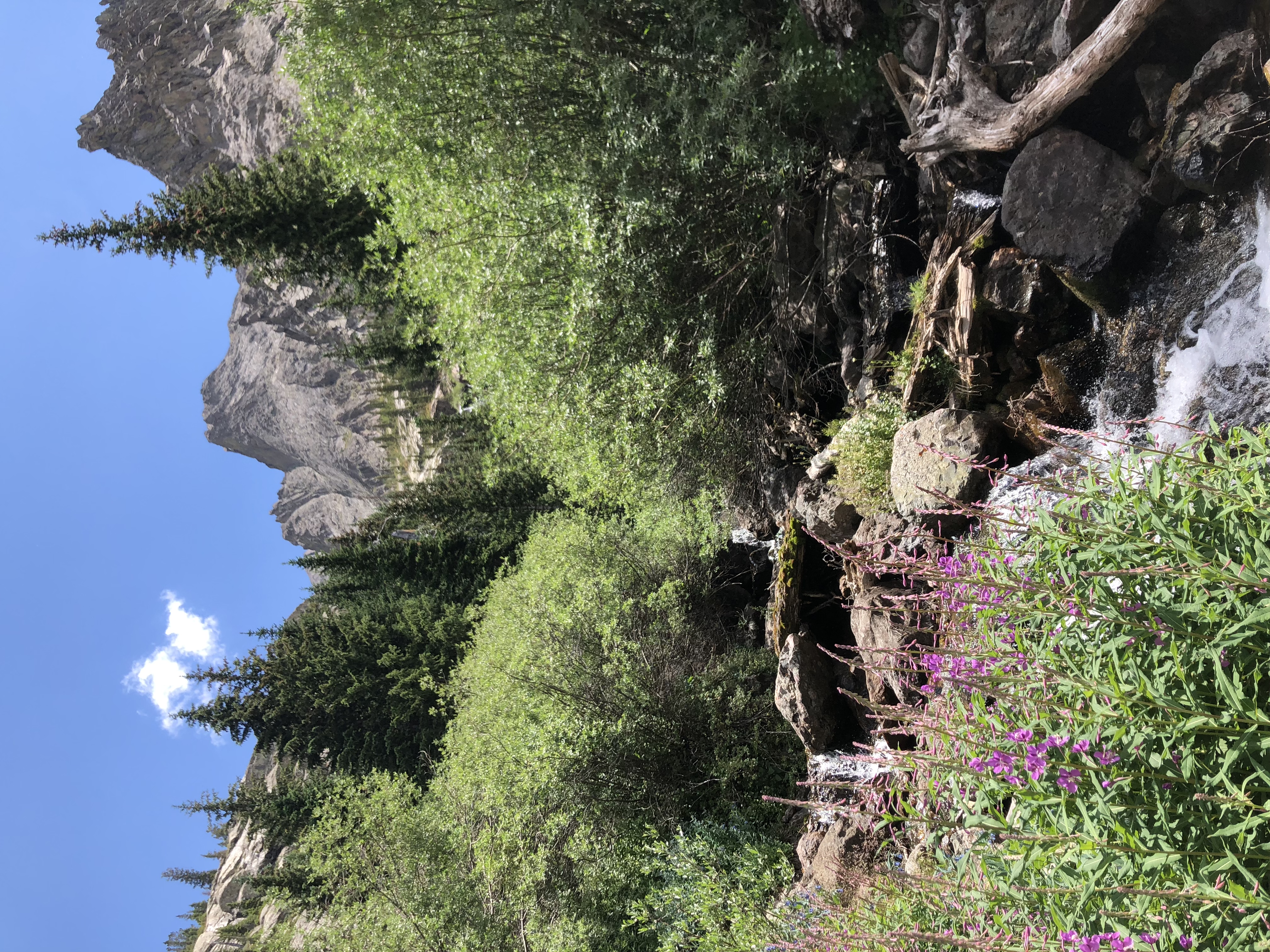 Willow Lake Trail