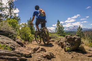 Mountain Bike the Peterson Ridge Trail