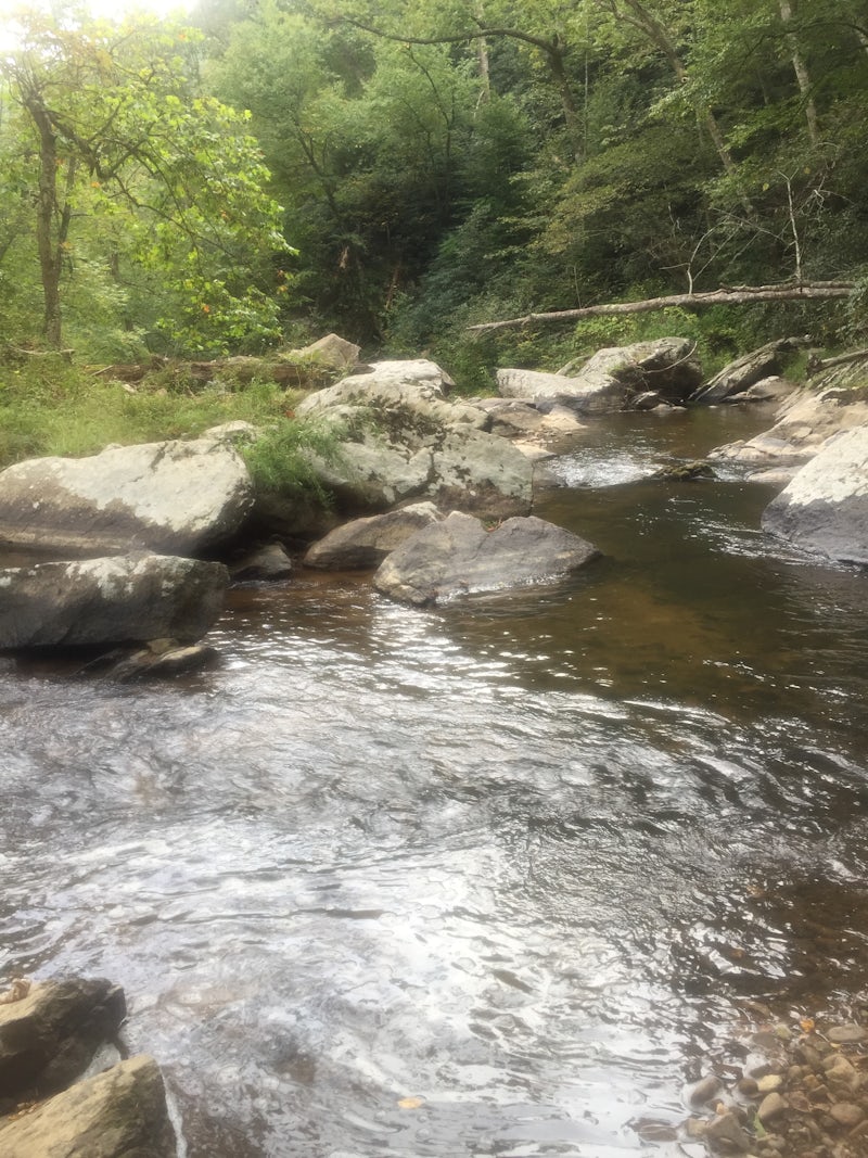 Photo of Hike Bottom Creek Gorge Preserve