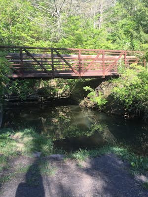 Hike the Coal Mining Heritage Park and Loop Trail