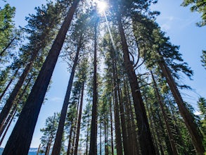 Hike the Fallen Leaf Lake Trail 