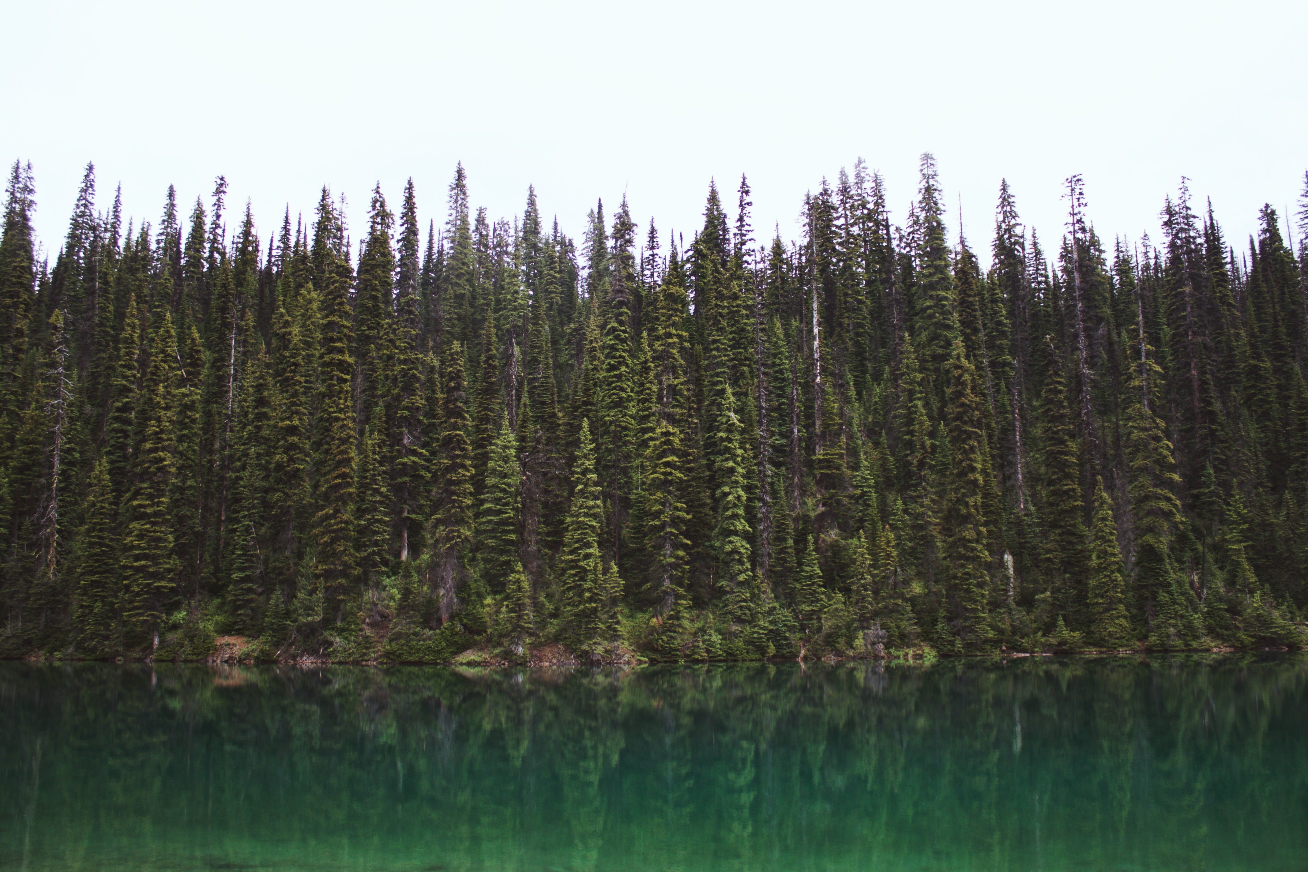 Hike Iceline Trail