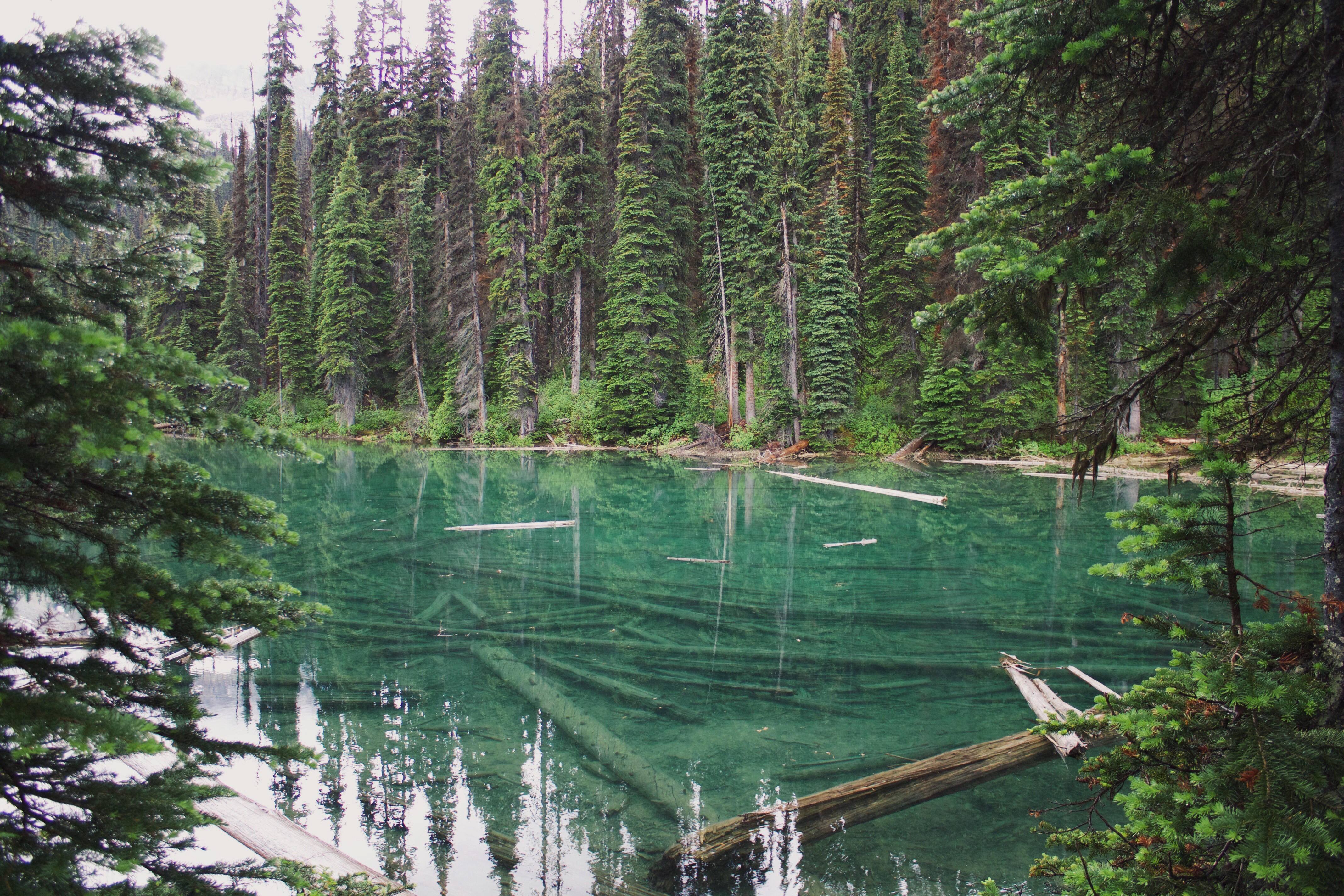 Hike Iceline Trail