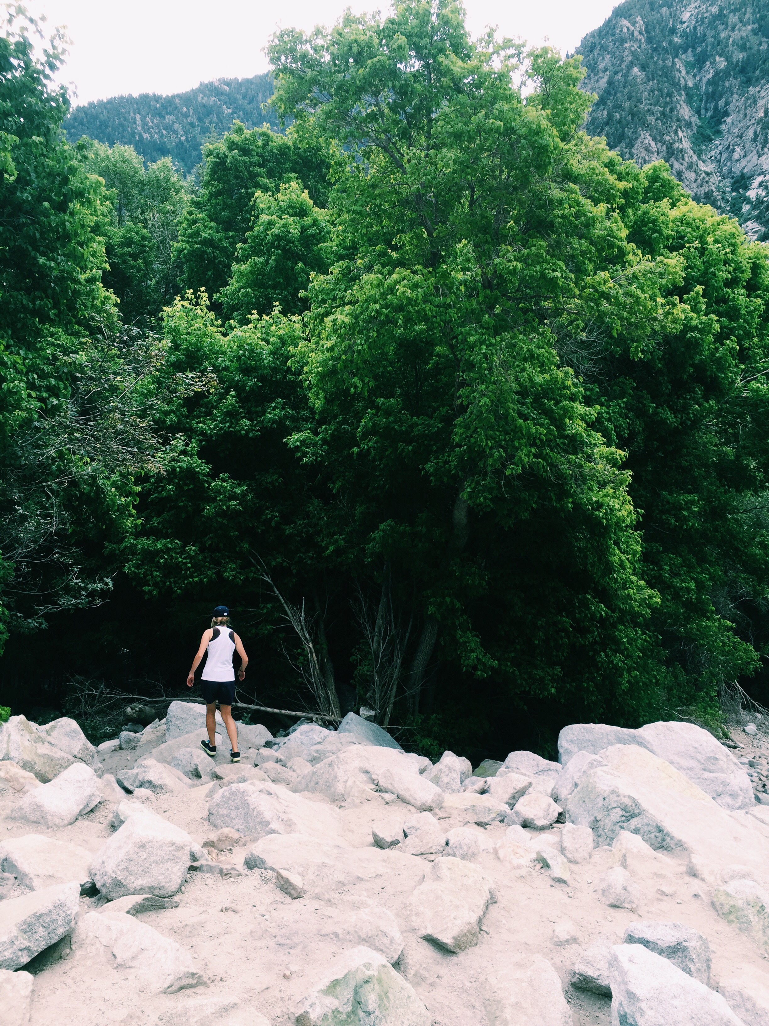 Explore Little Cottonwood Canyon's Lisa Falls