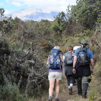 Summit Mt. Kilimanjaro via the Nalemuru Route