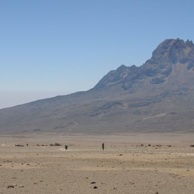 Summit Mt. Kilimanjaro via the Nalemuru Route