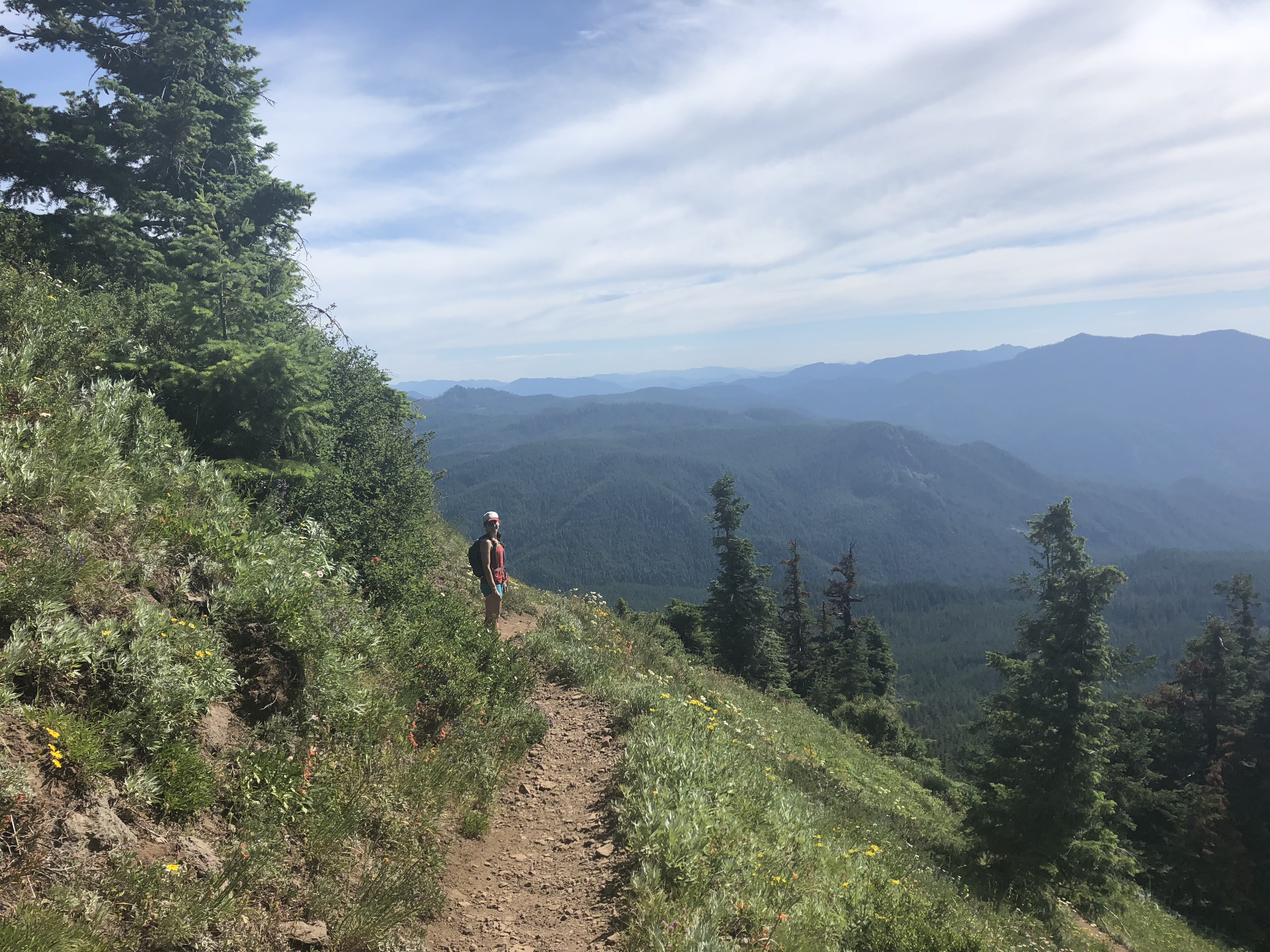 Iron Mountain 