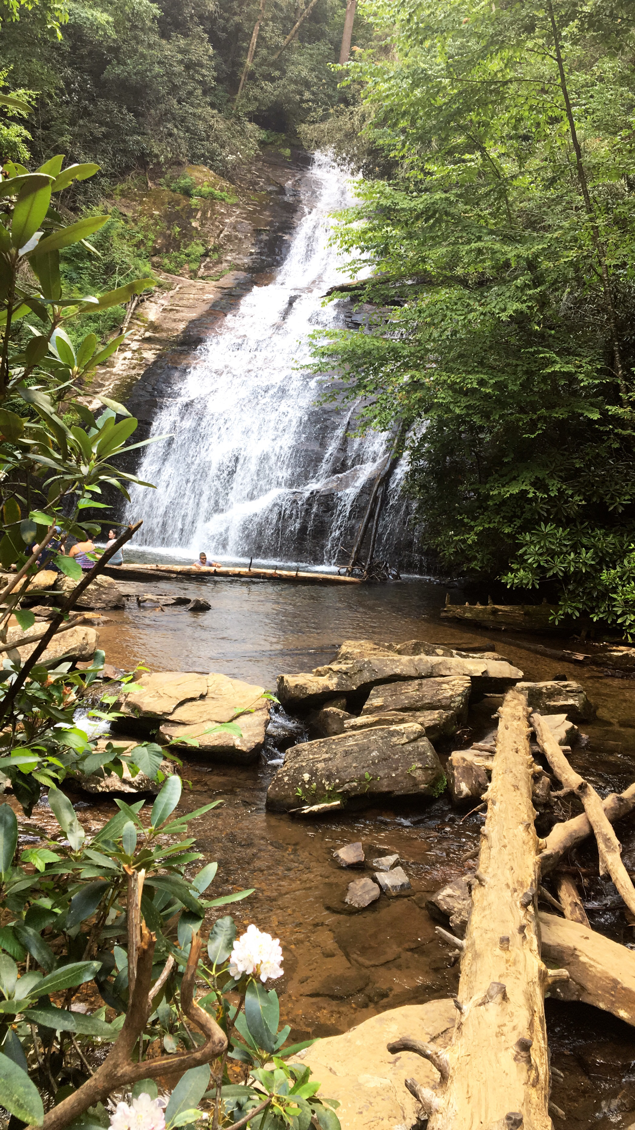 Hike to Helton Creek Falls