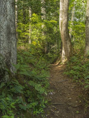 Hike the Tumbling Waters Trail