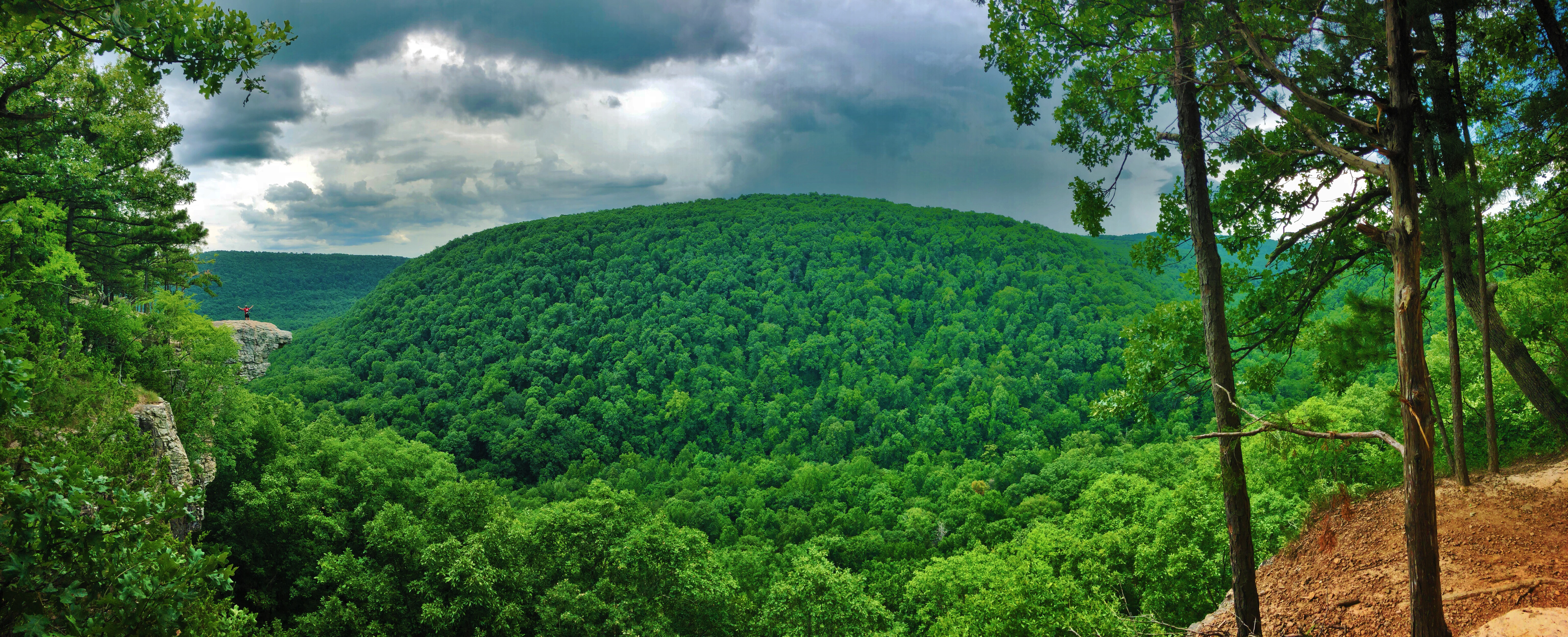 Hawksbill Crag via Whitaker Point Trail