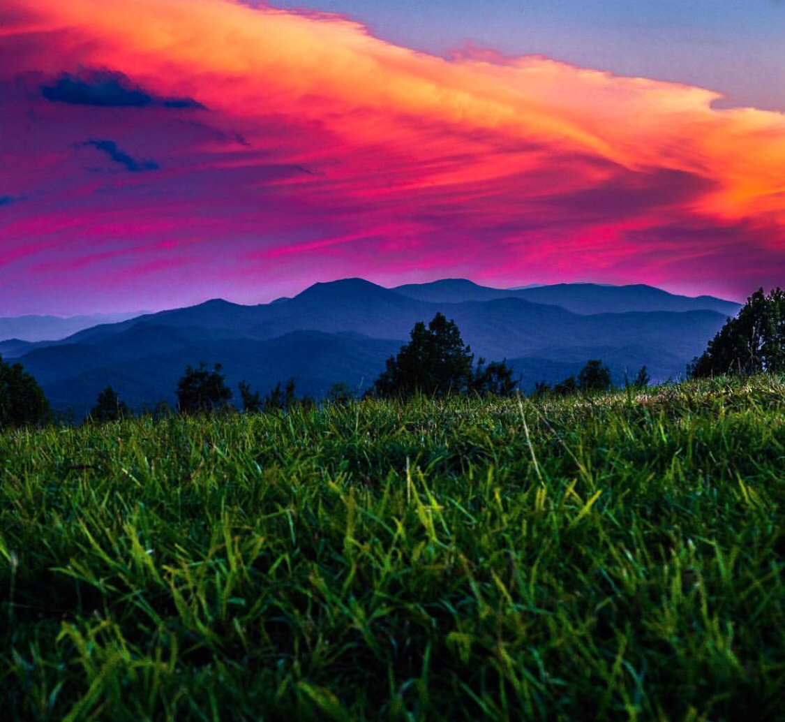 Max Patch Mountain