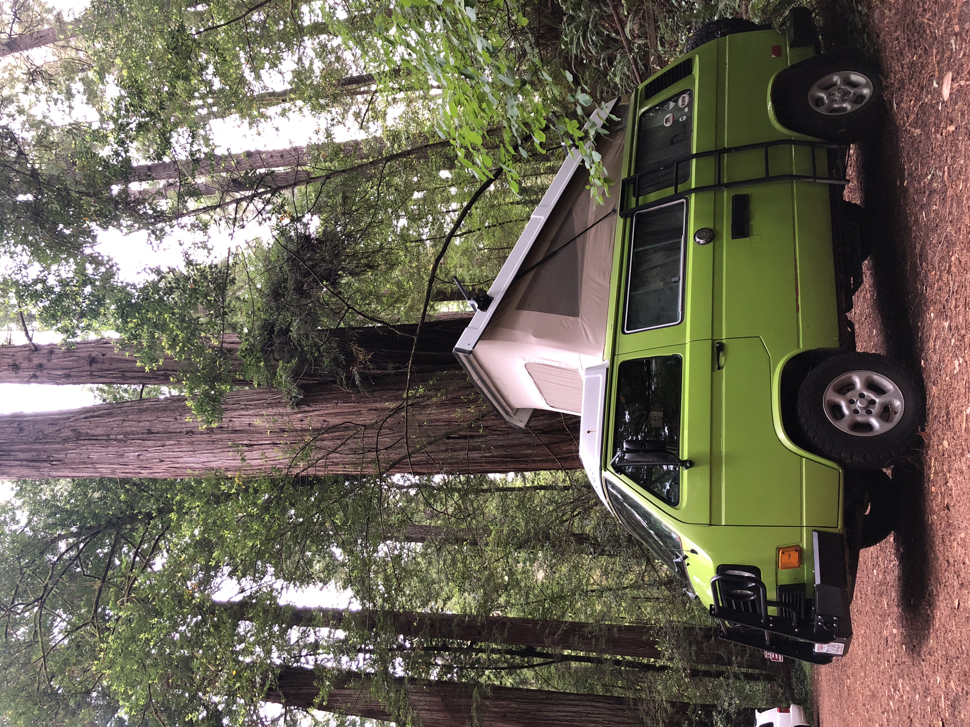 Camp at Jedediah Smith Redwoods Campground