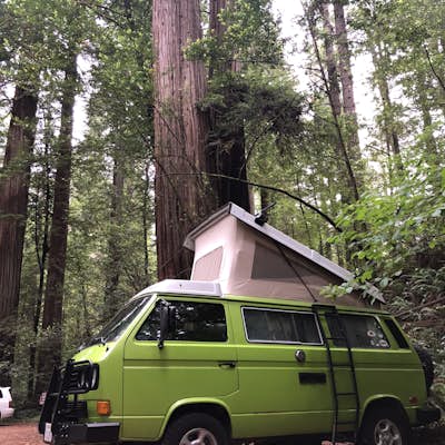 Camp at Jedediah Smith Redwoods Campground