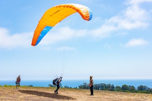 Paraglide at Elings Park