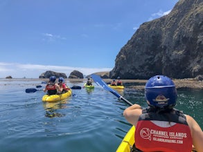 Kayak Santa Cruz Island 