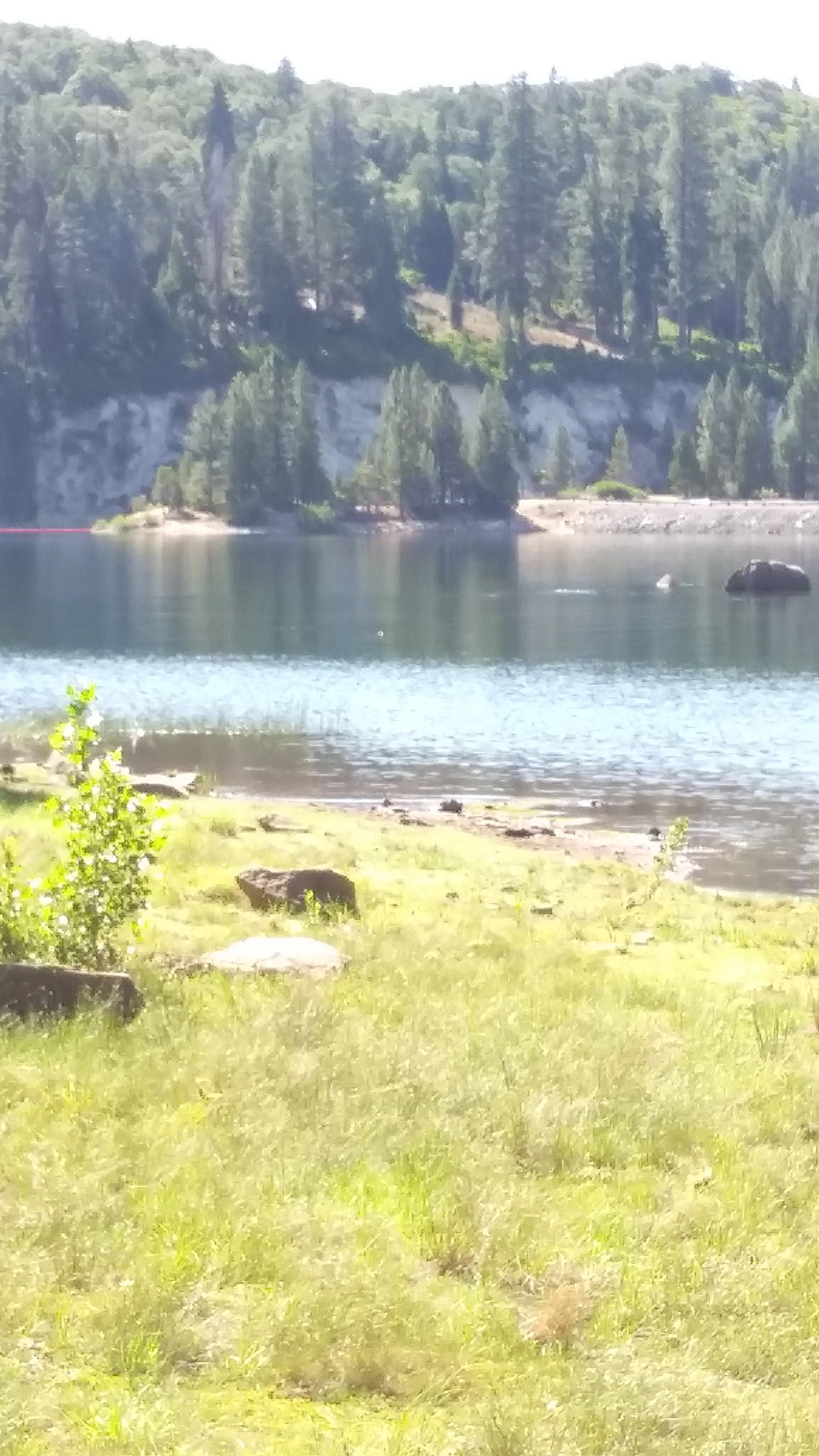 Camp at Ice House Reservoir 