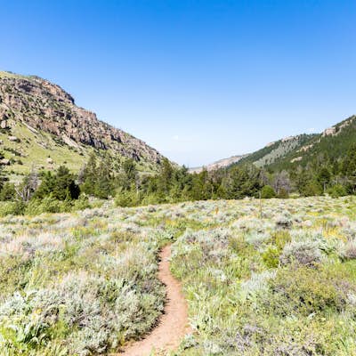Hike the Sinks Canyon Trail