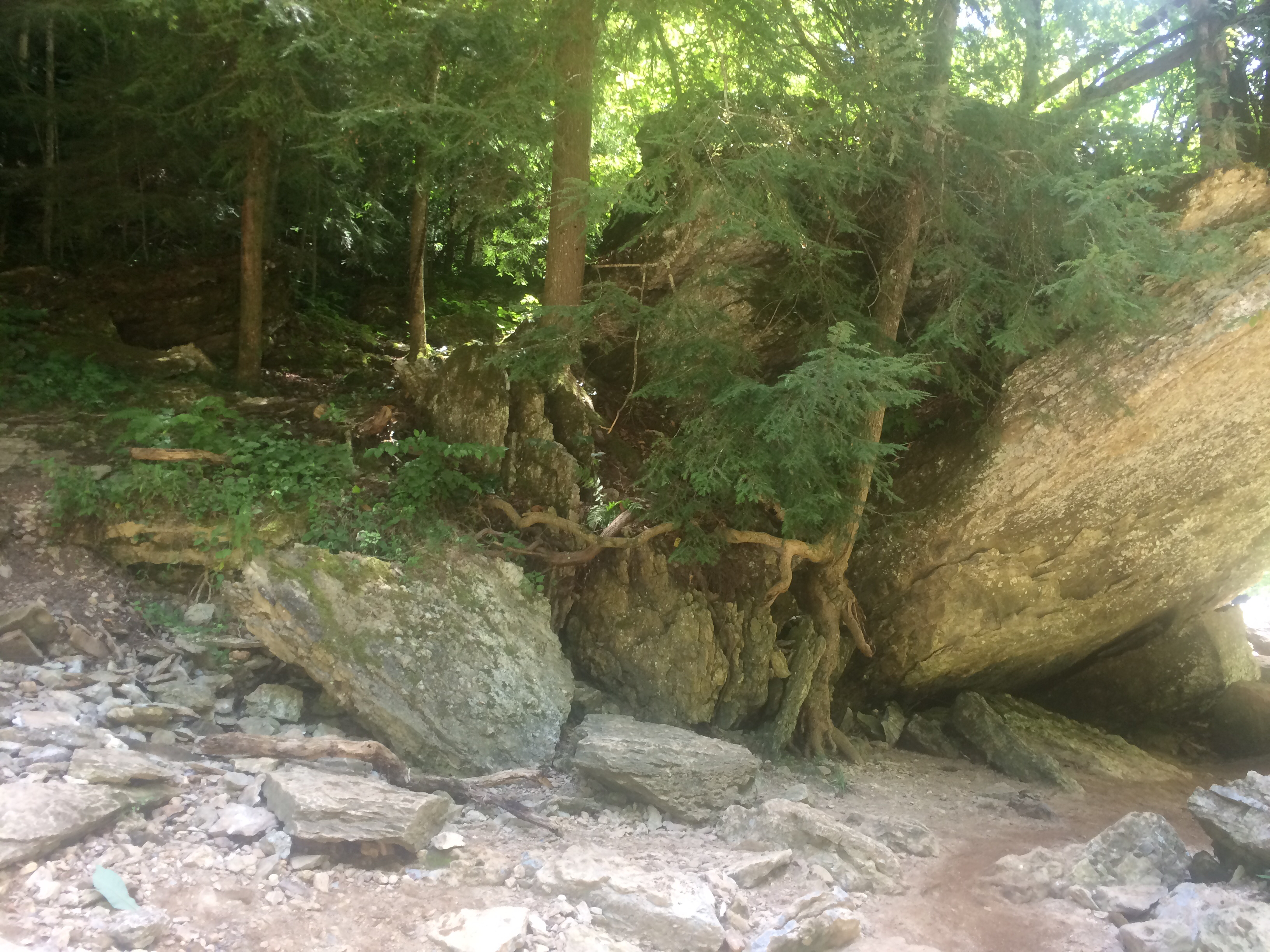 Cummins Falls