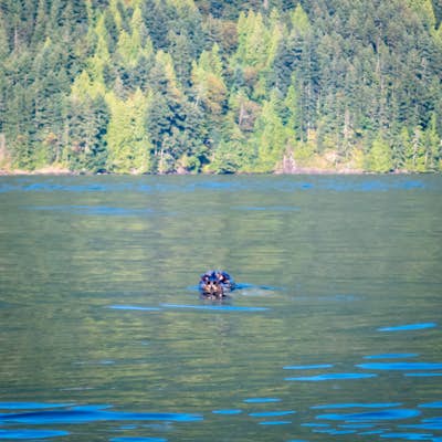 Kayak the Miller Islet