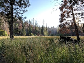 Camp at Redwood Meadow