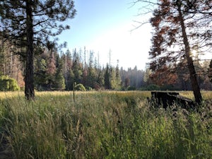 Camp at Redwood Meadow