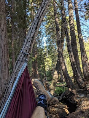 Camp at Redwood Meadow