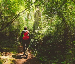 Hike the Sound View Trail