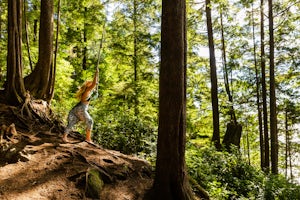 Swing on the West Bamfield Rope Swing