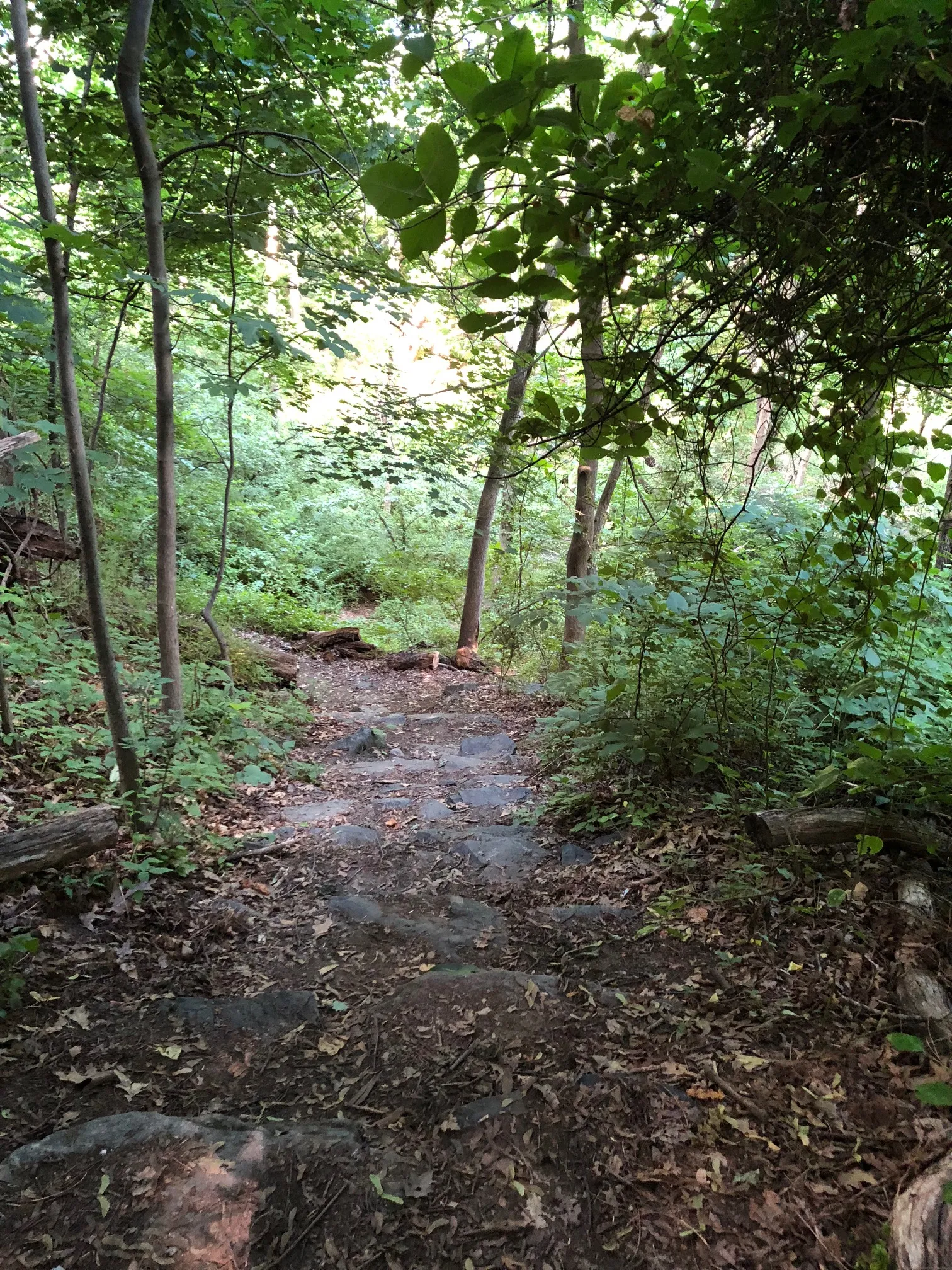 Neutaconkanut Loop