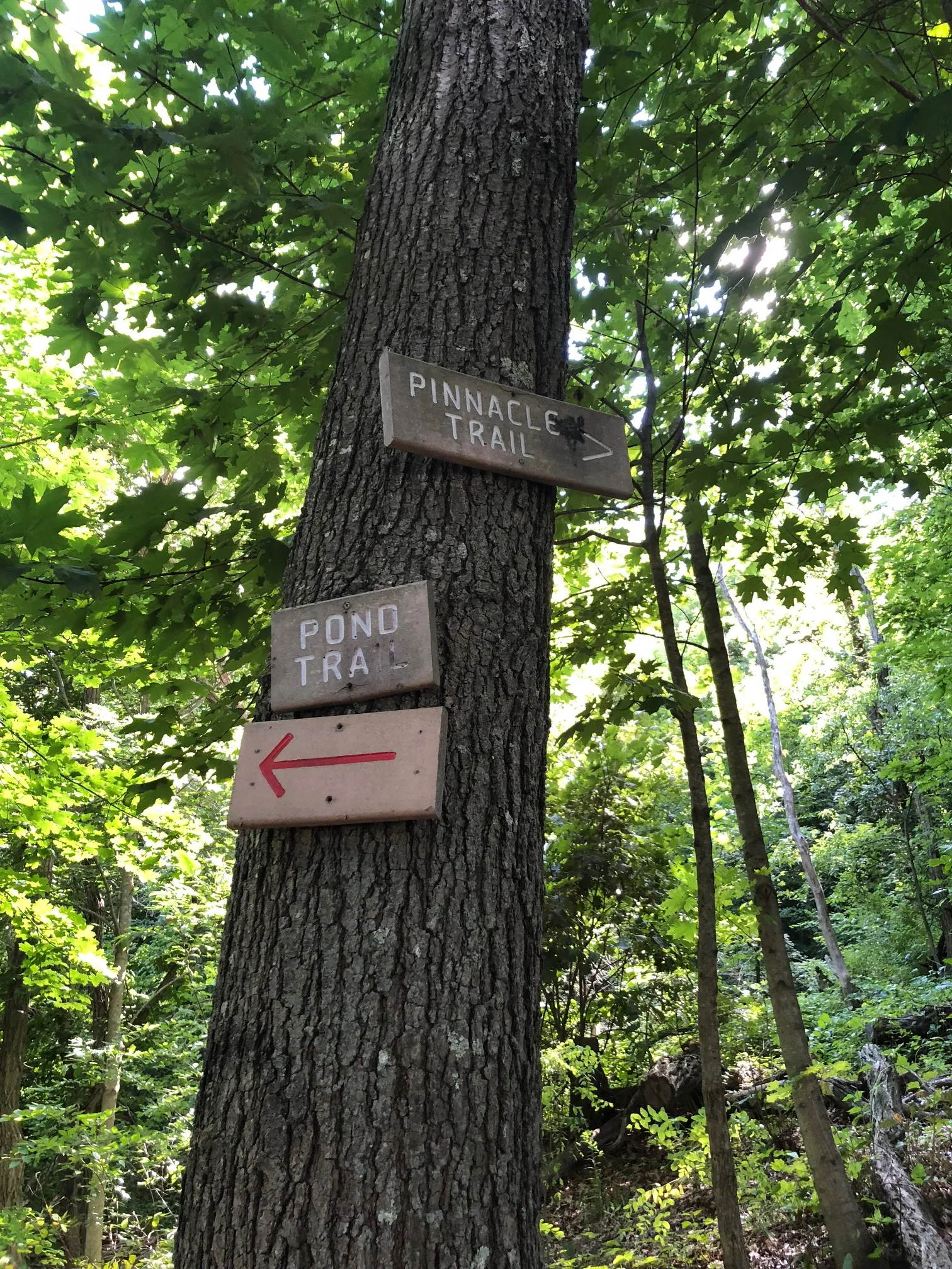 Neutaconkanut Loop