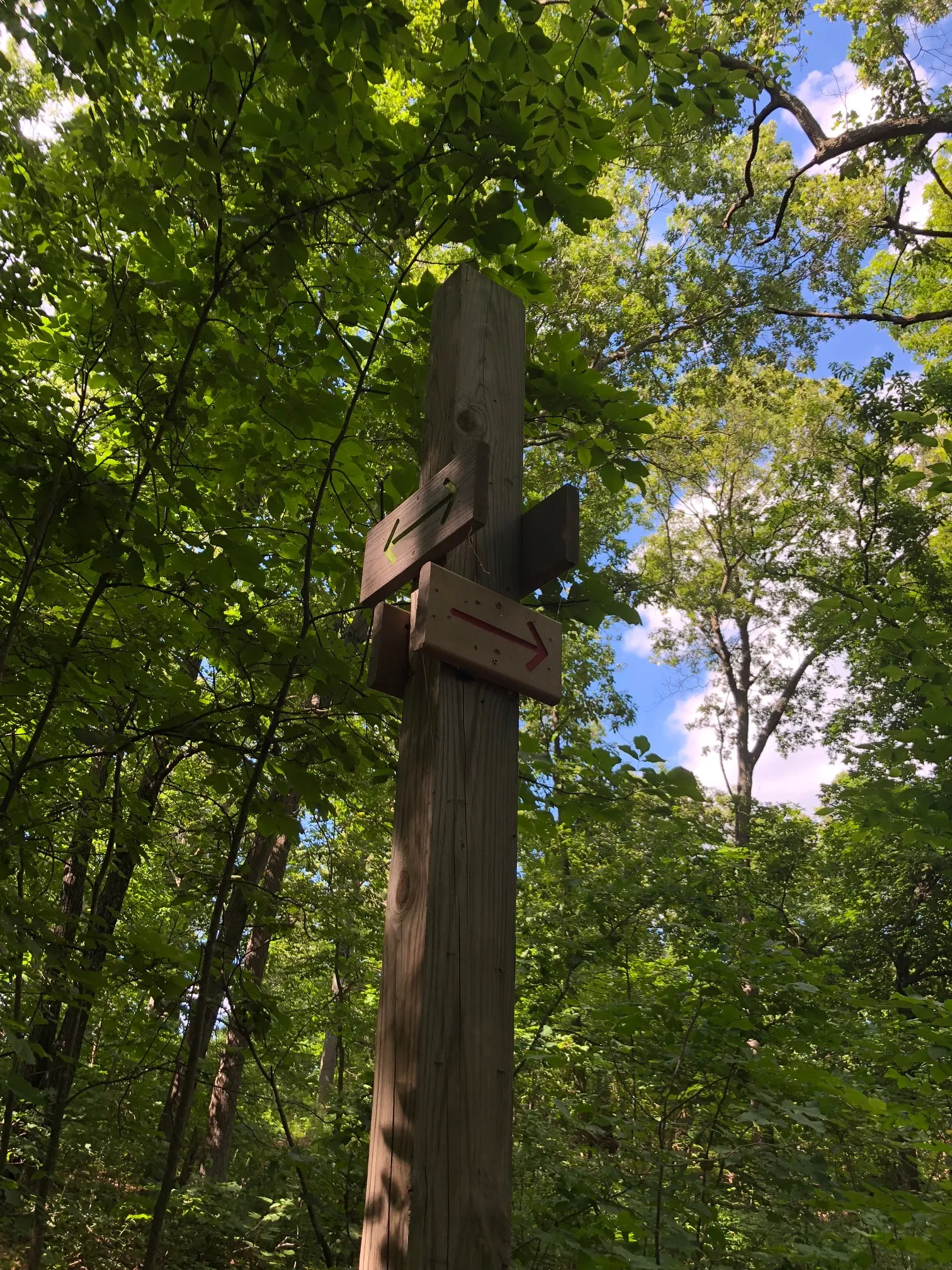 Neutaconkanut Loop