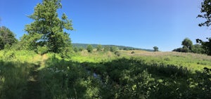 Camp at Sky Meadows State Park