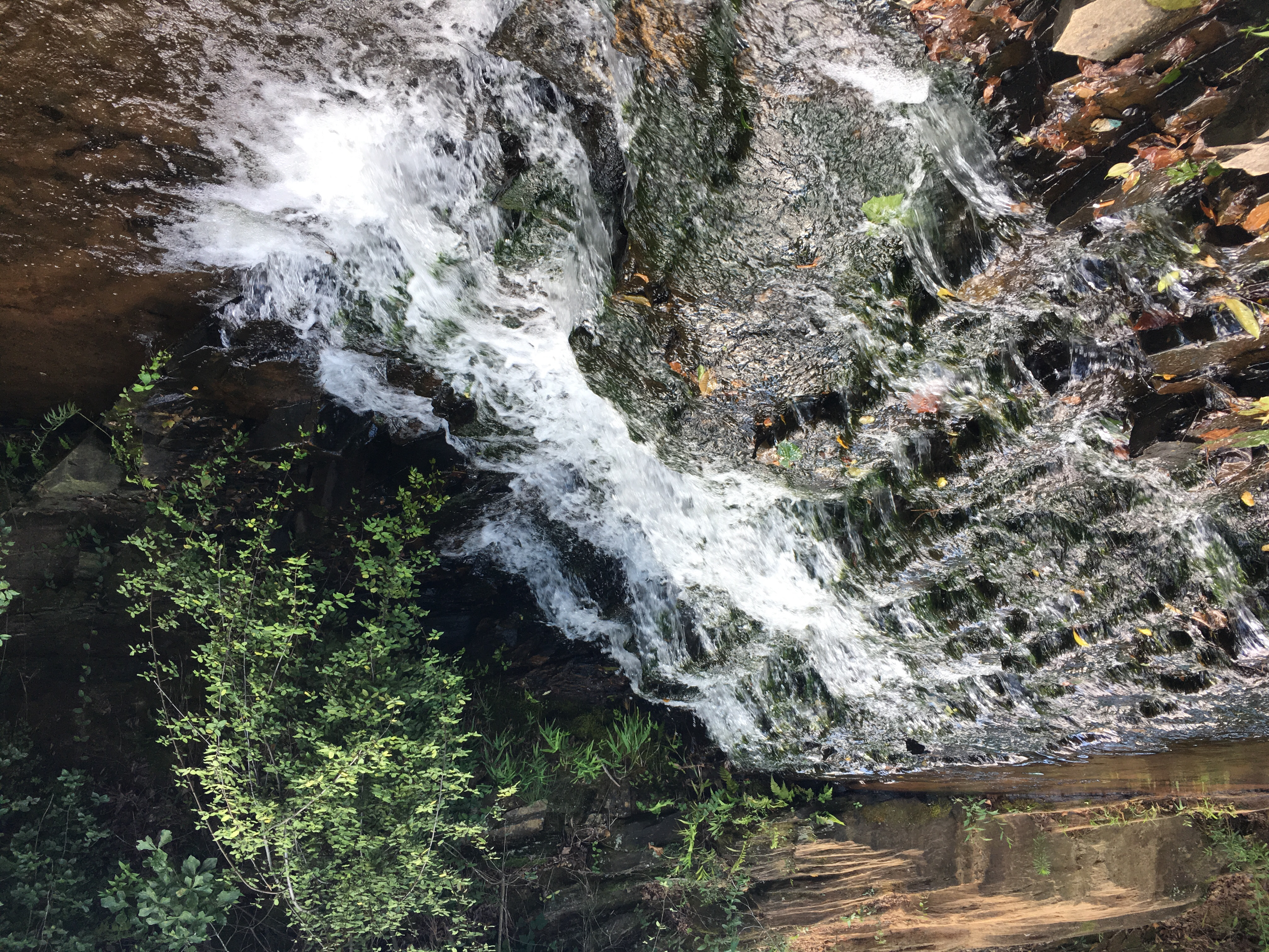 Aqueduct Park (Rae's Creek)