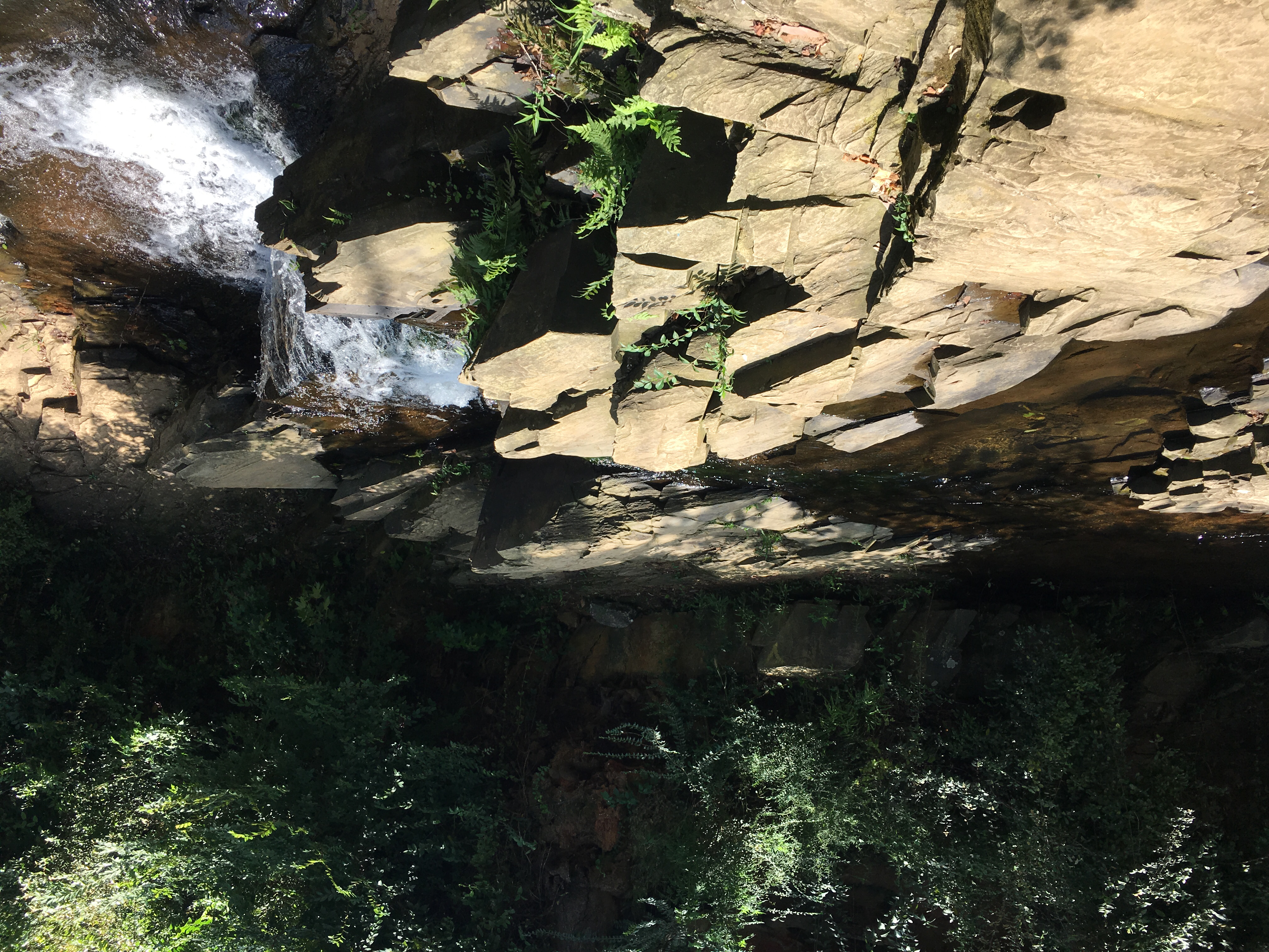 Aqueduct Park (Rae's Creek)