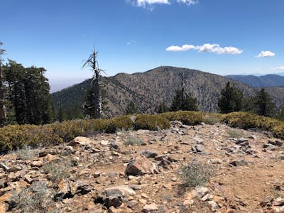 Hike to Throop Peak, Mt. Hawkins, and Mt. Burnham