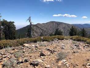 Hike to Throop Peak, Mt. Hawkins, and Mt. Burnham