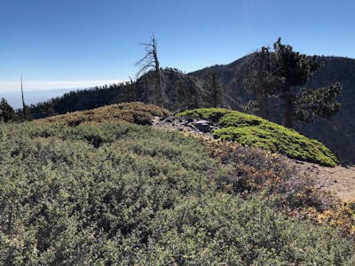 Hike to Throop Peak, Mt. Hawkins, and Mt. Burnham