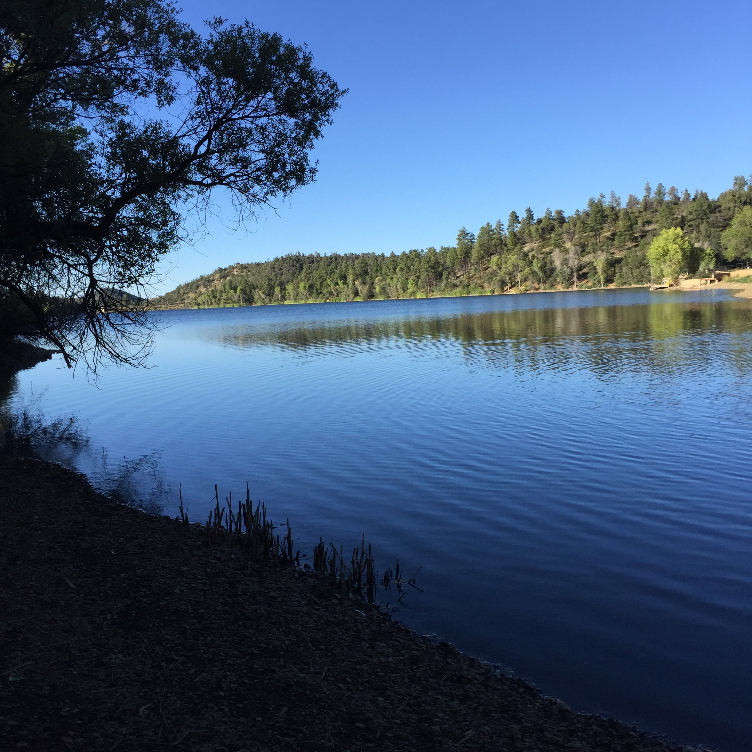 Hike Lynx Lake