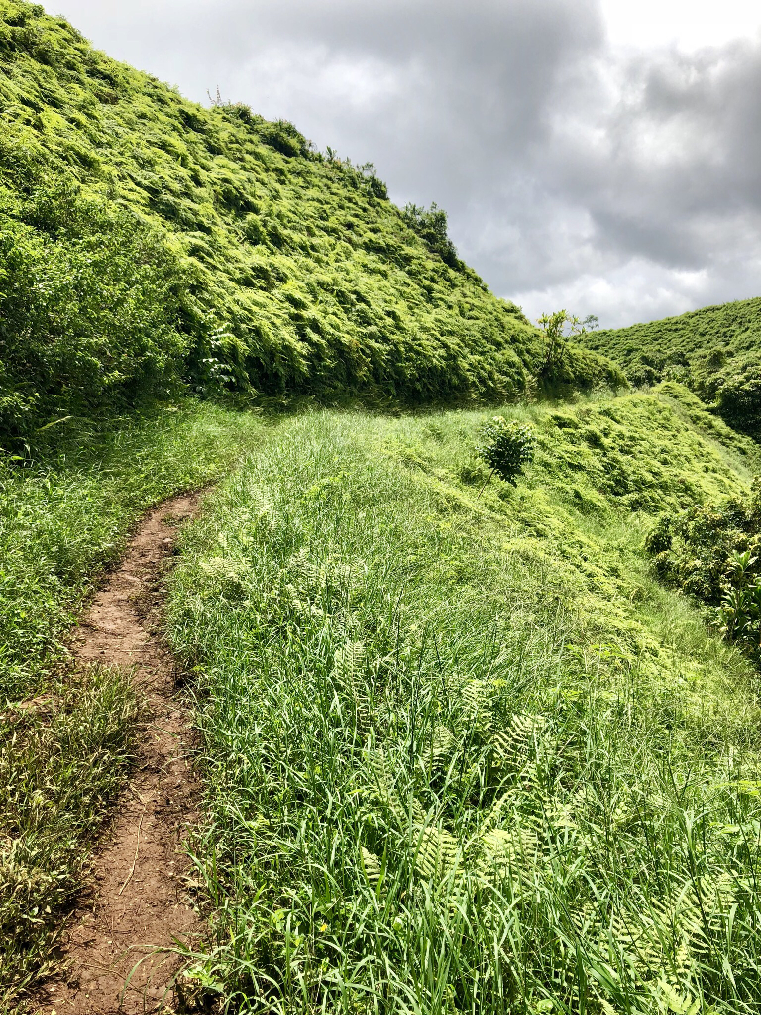 Hike the Kuilau Ridge Trail