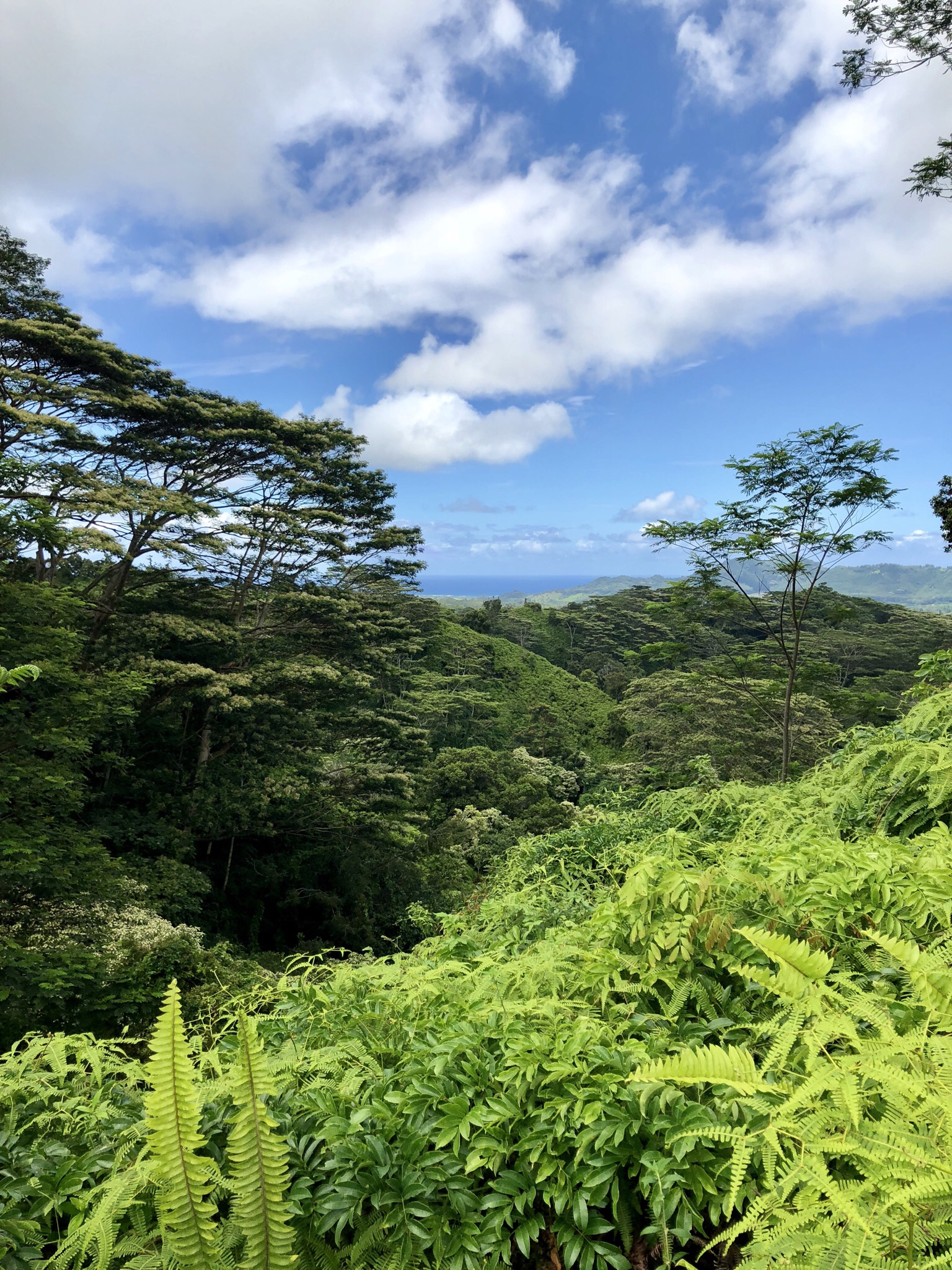 Hike the Kuilau Ridge Trail