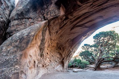 Navajo Arch via Devils Garden Trailhead