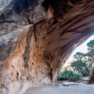 Navajo Arch via Devils Garden Trailhead