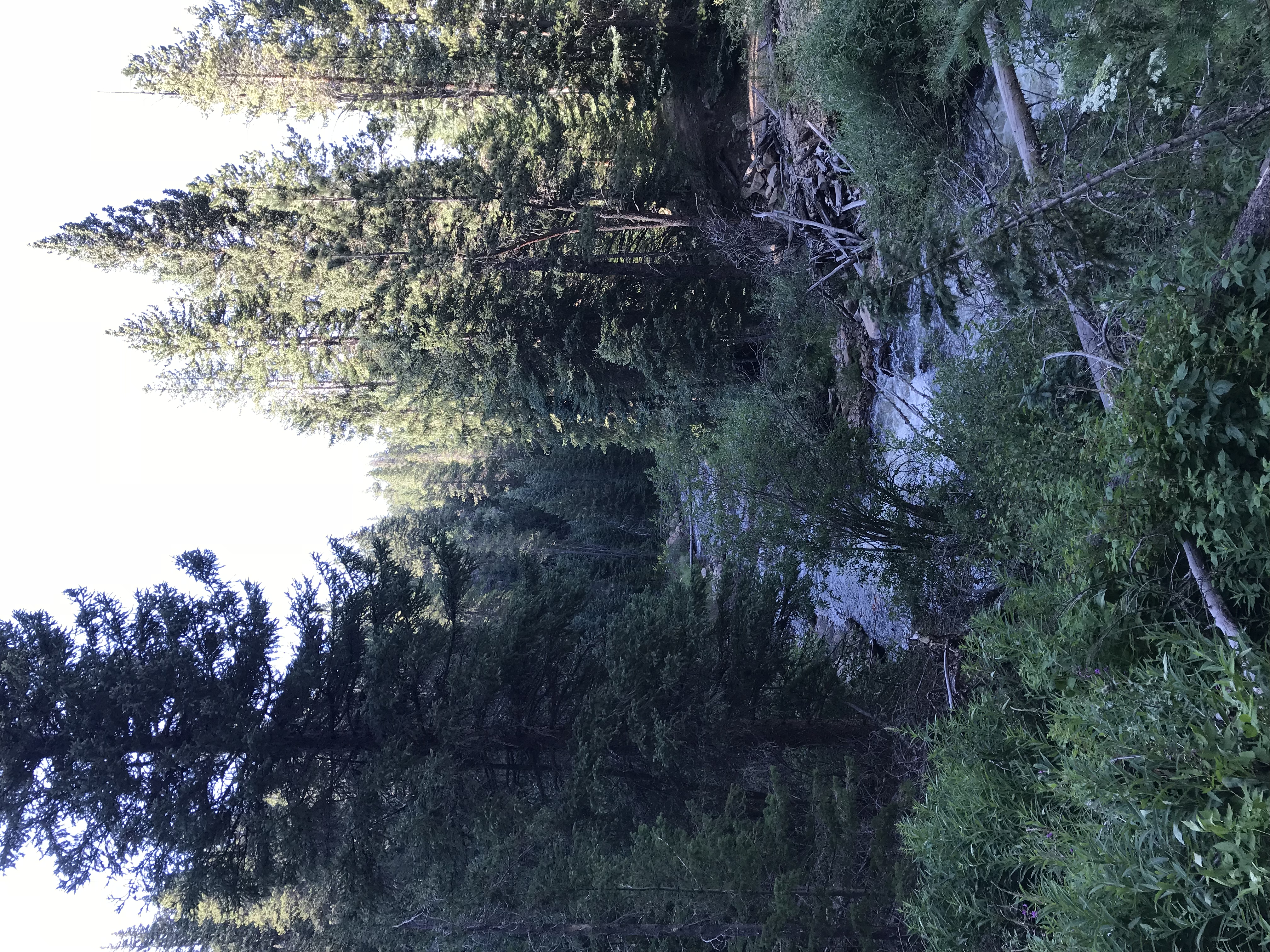 Hike the Ceran St. Vrain Trail