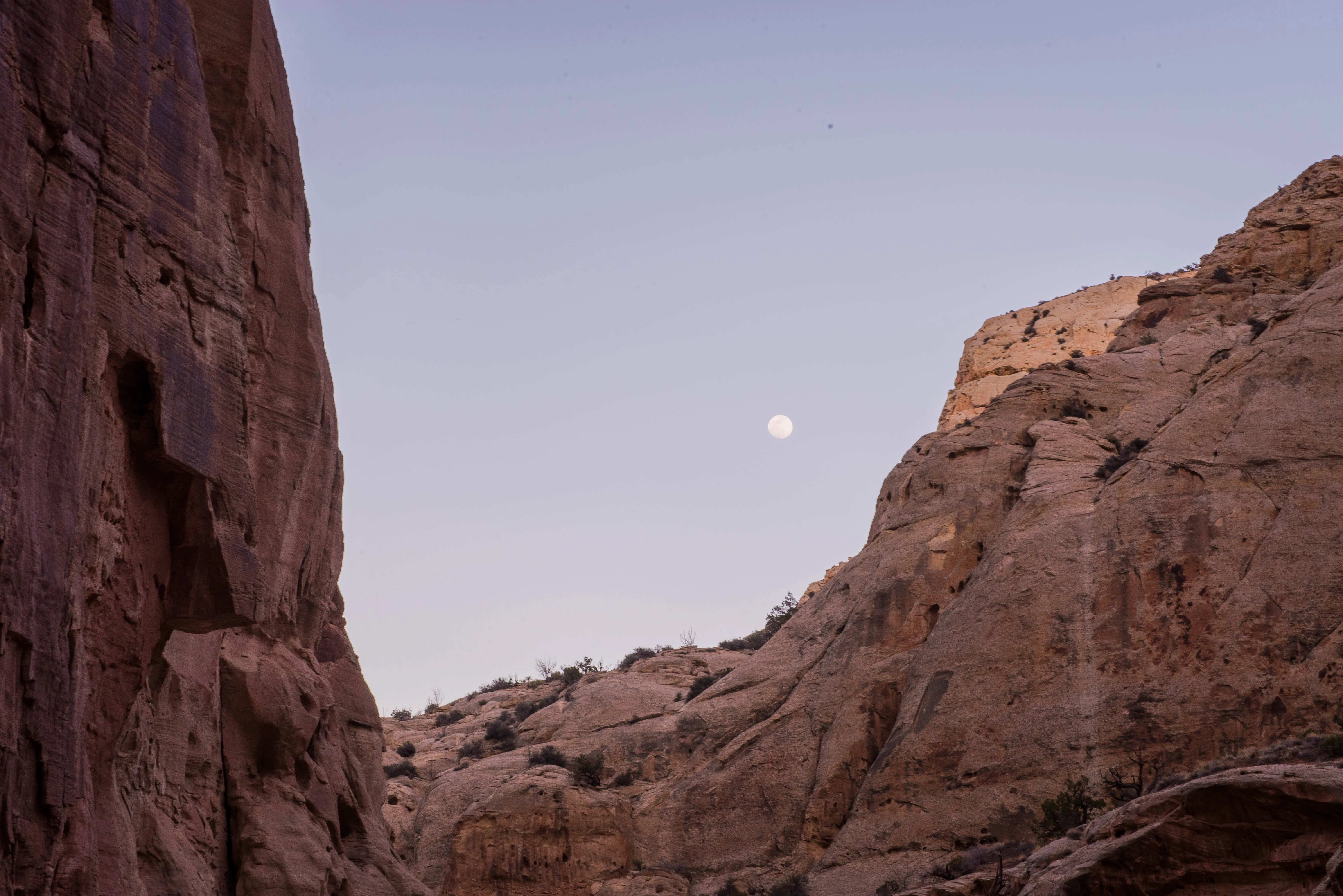 Grand Wash Trail, Capitol Reef National Park