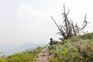 Hike the Ellis Peak Trail 