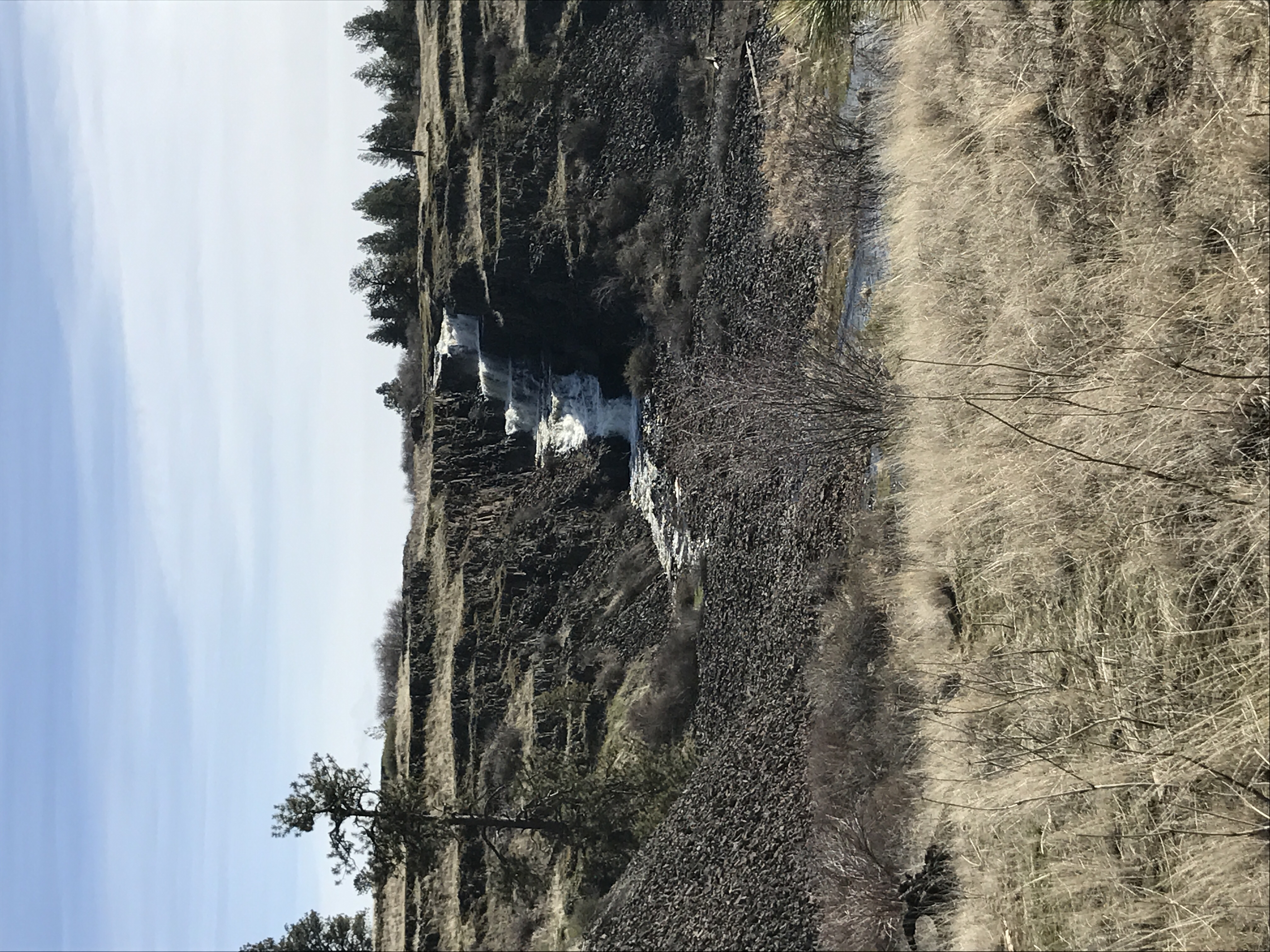Hog Lake Loop
