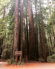 East Ridge - Pool Ridge Loop