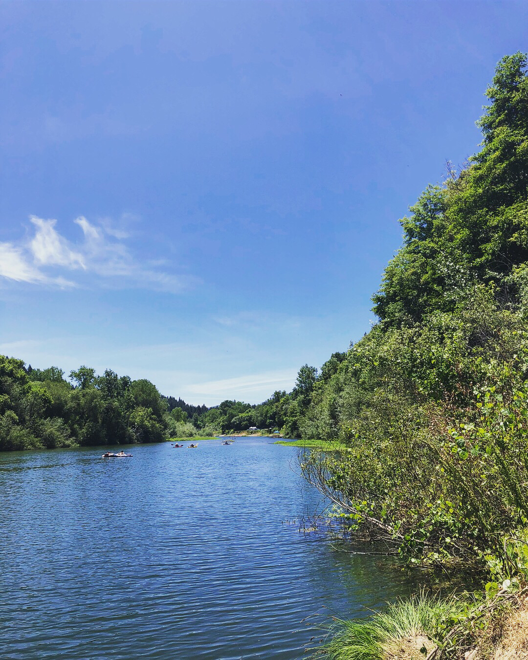 Canoe the Russian River via Forestville
