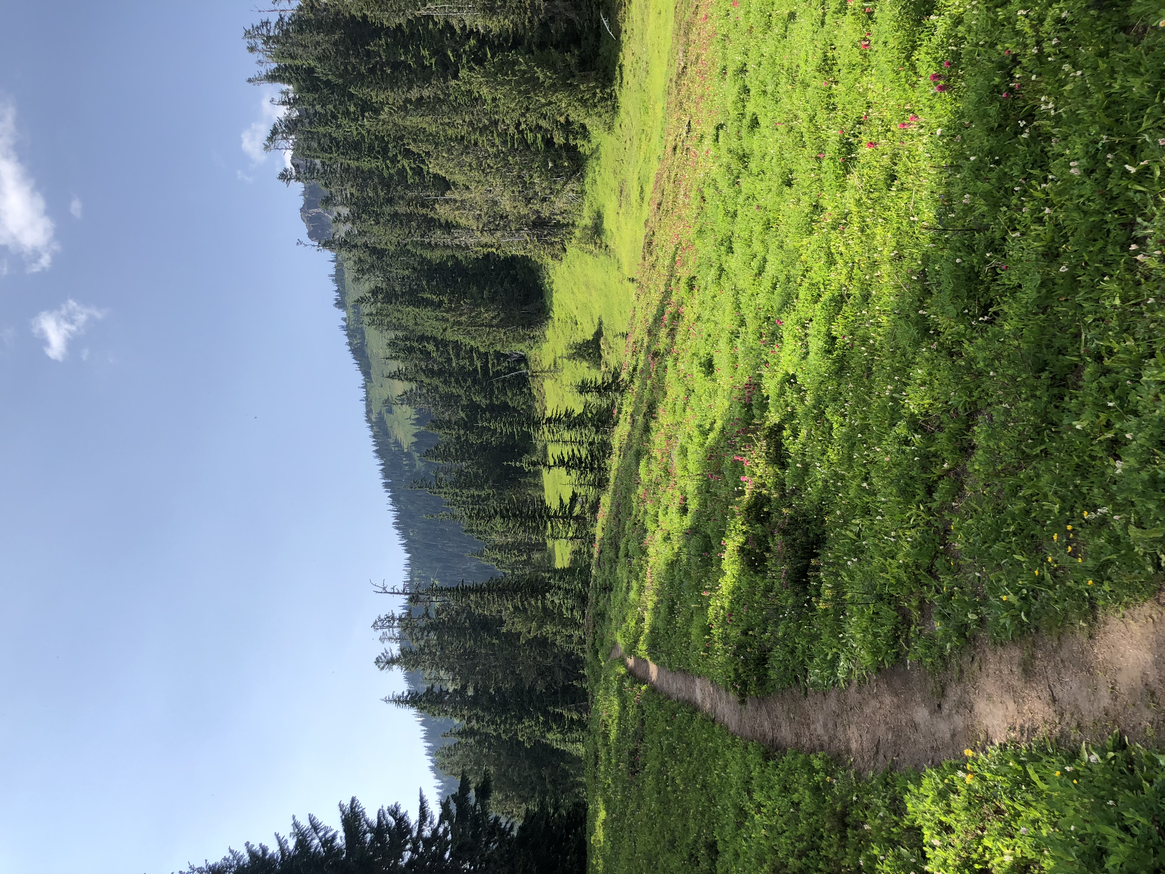 Spray Park via Mowich Campground